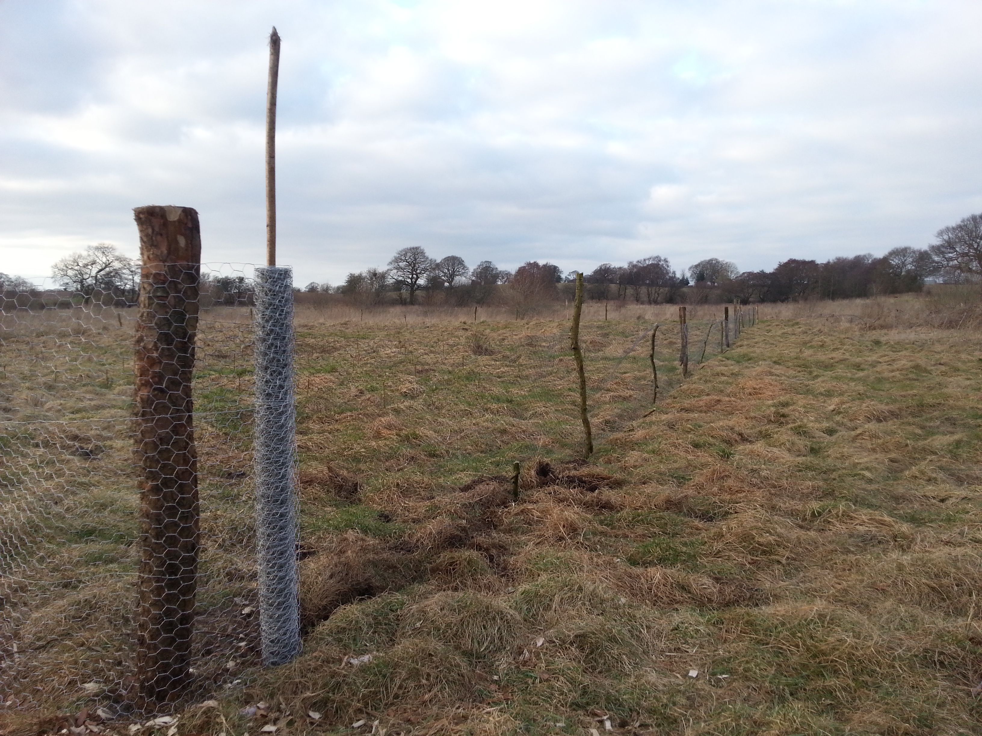 Mel's awesome fence